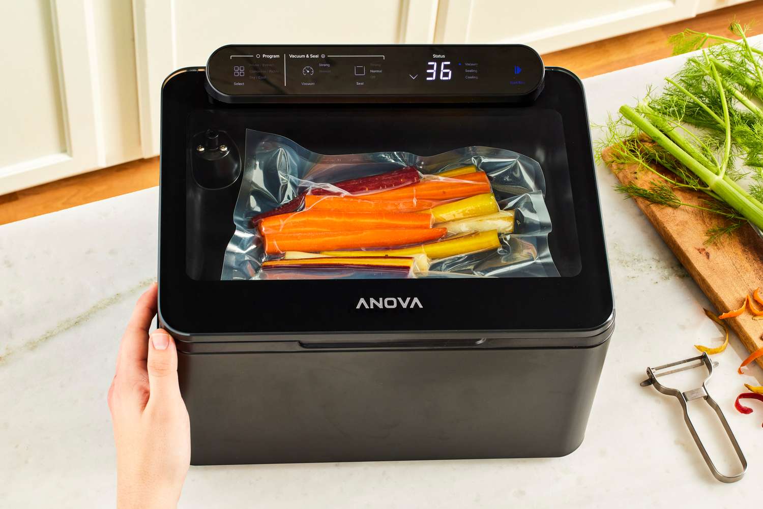 Vacuum Sealer Accessories Must Have 2025: An Expert’s Guide